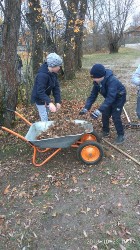 �����������