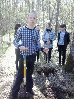 �����������