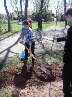 �����������